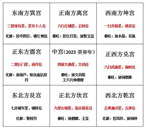 流年飛星2023 清朝語言
